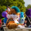 TaireCat